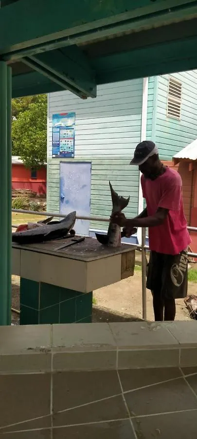 شقة Flamboyant De La Baie لا ترينيت